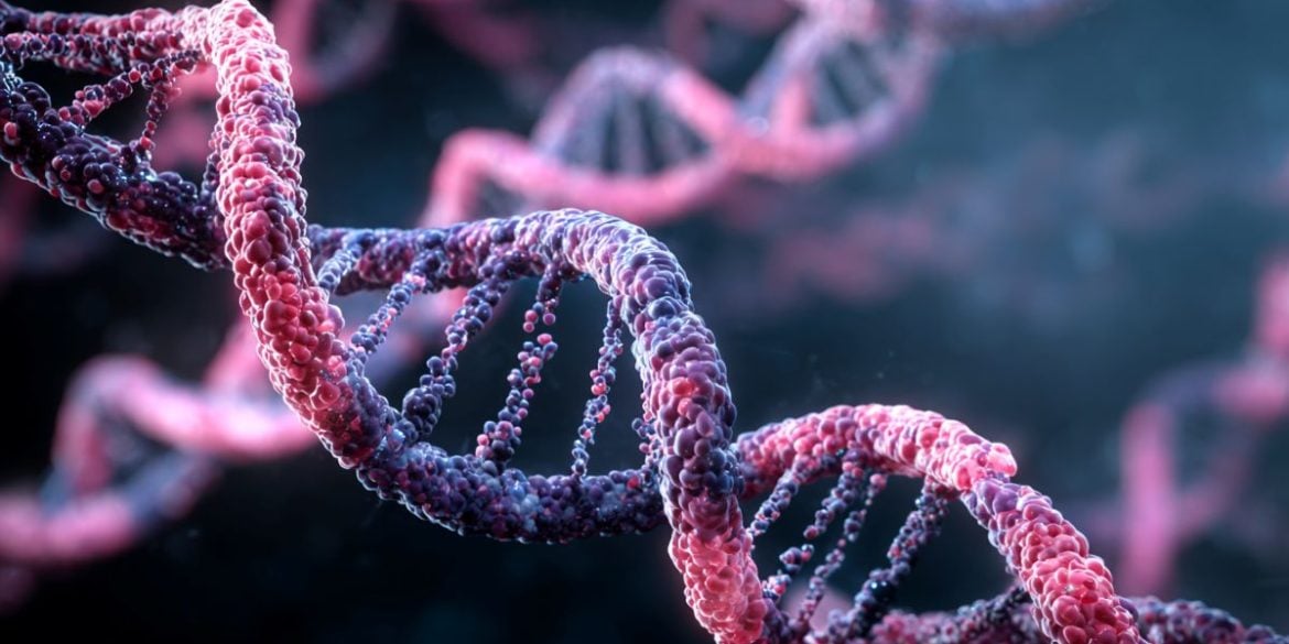 This shows DNA.