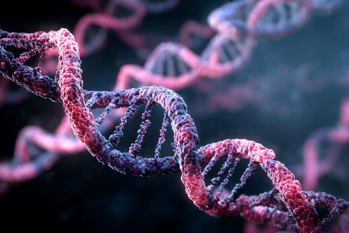 This shows DNA.