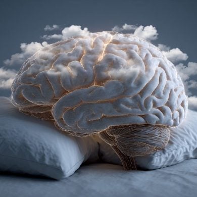 This shows a brain on pillows.