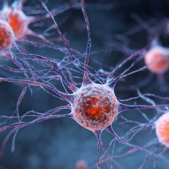 This shows stem cells.