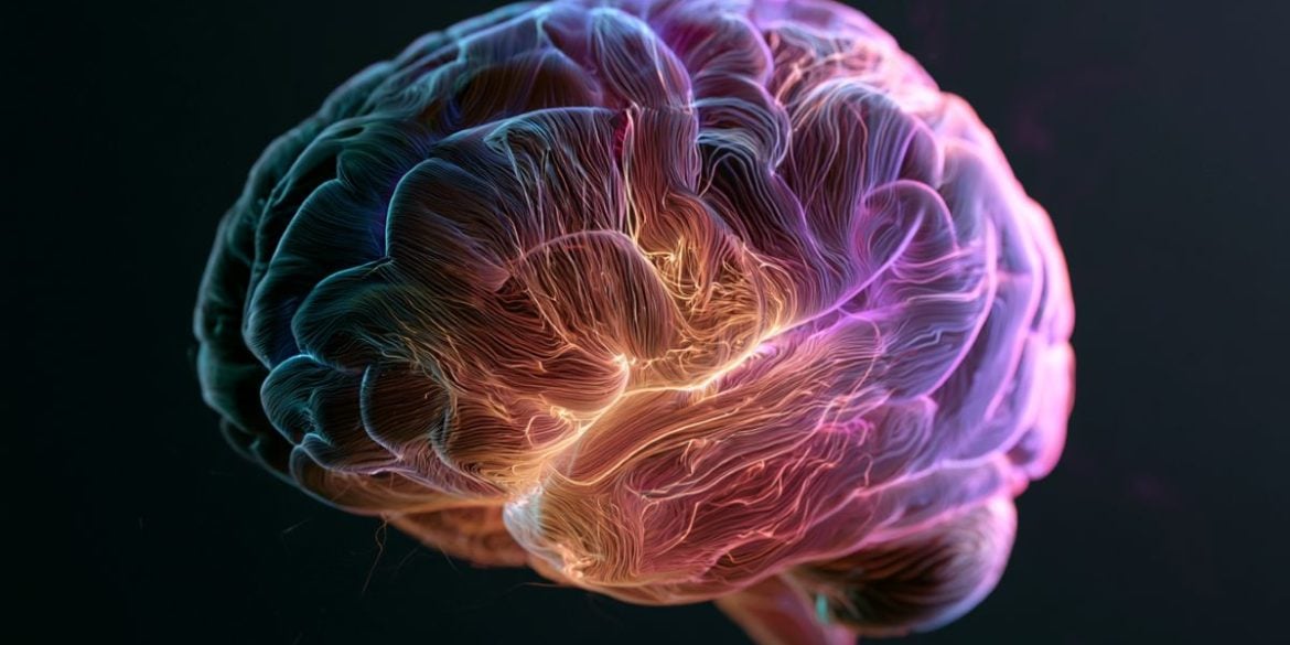 This shows a brain.