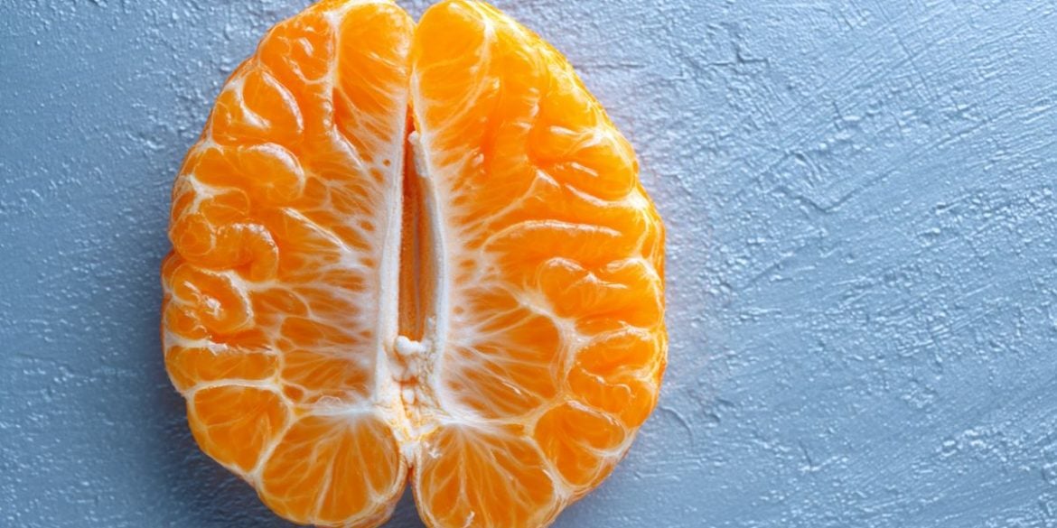 This shows an orange in the shape of a brain.