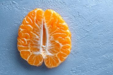 This shows an orange in the shape of a brain.