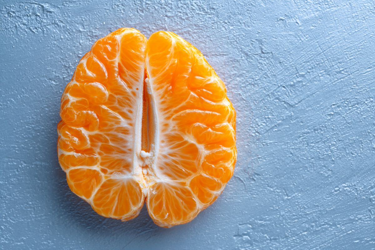 This shows an orange in the shape of a brain.