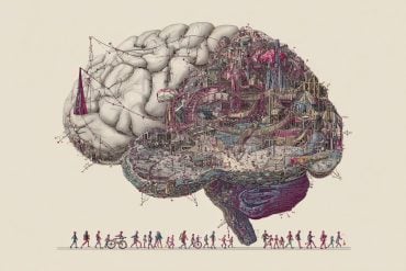 This shows a brain and people.