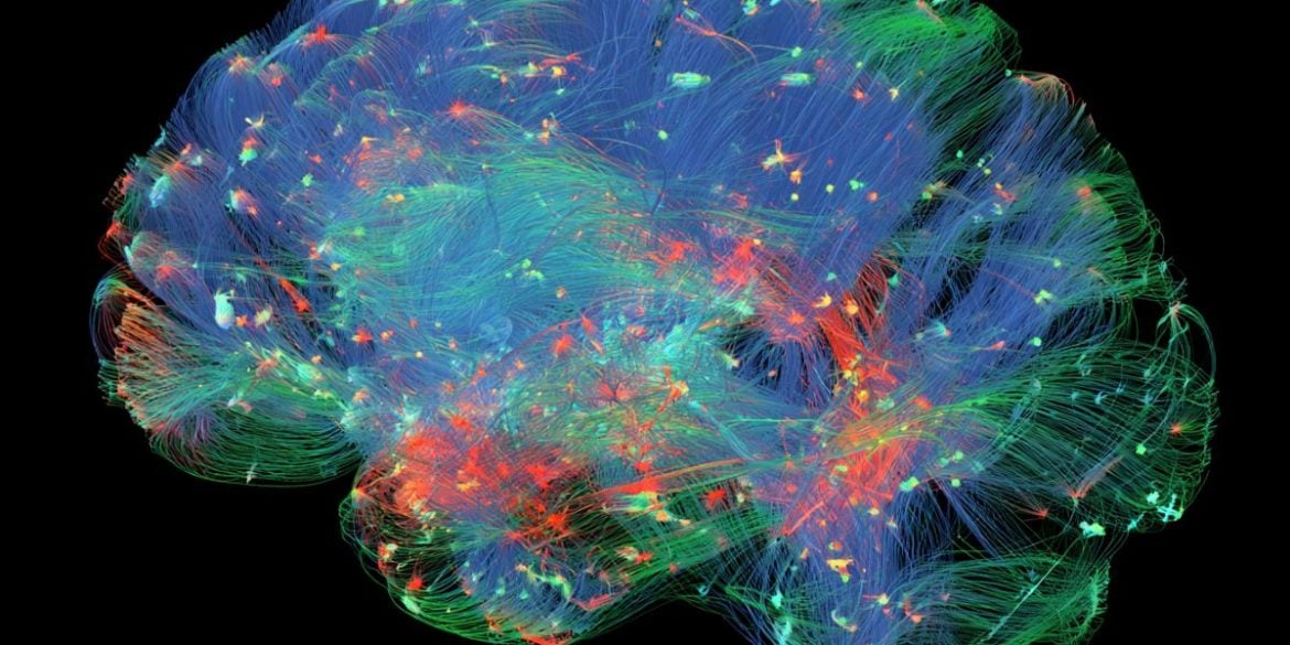 This shows a digital brain.