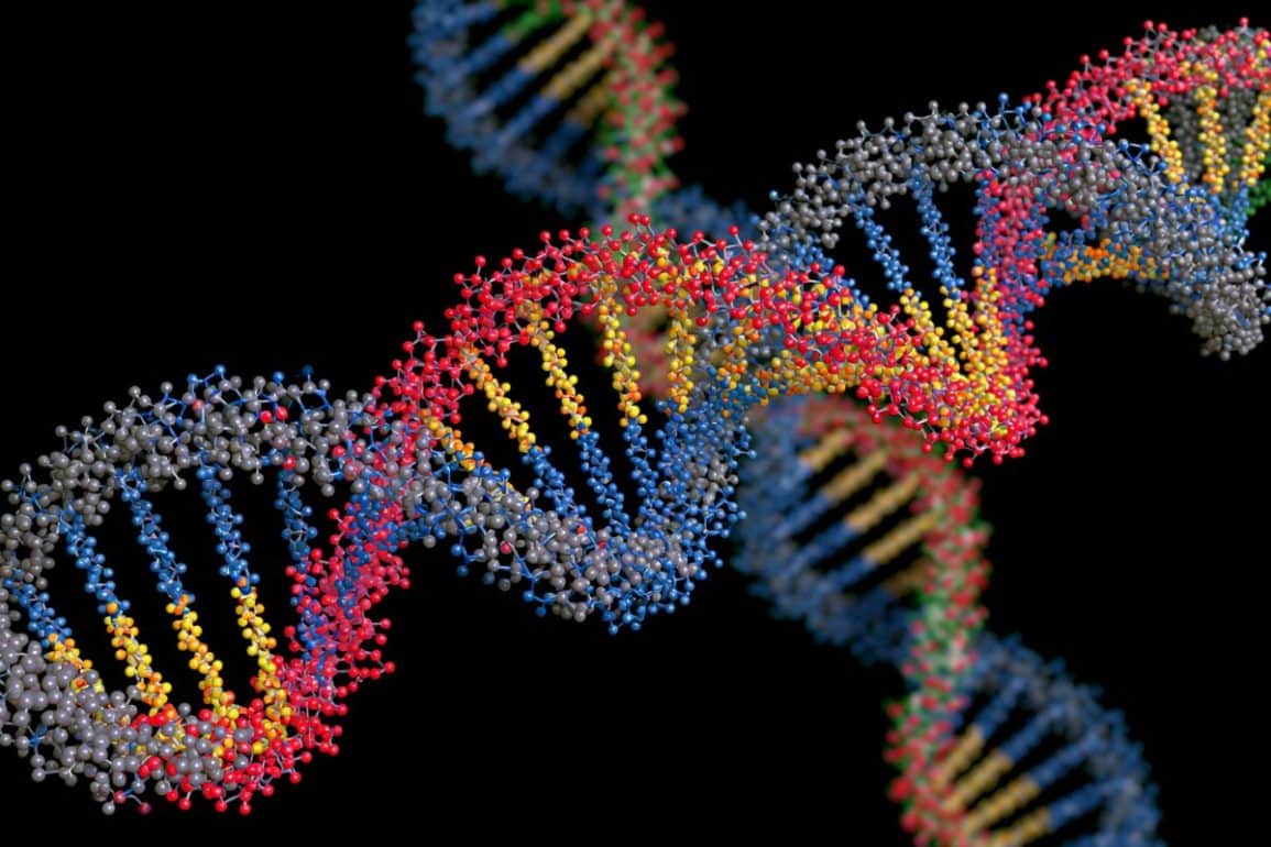 AI Model Predicts Complex DNA Binding