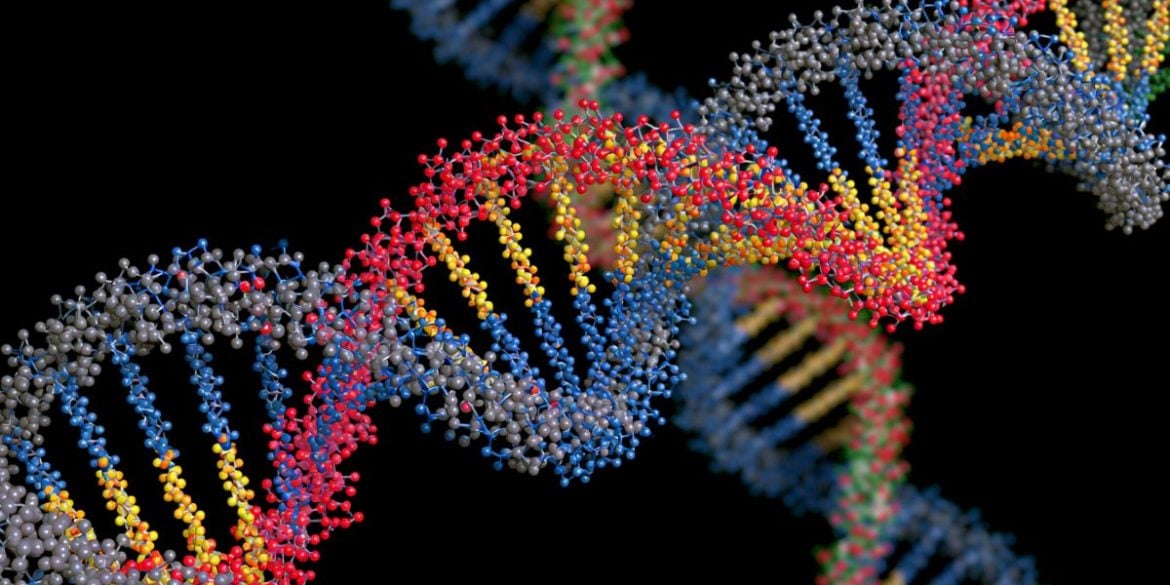 This shows DNA.