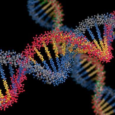 This shows DNA.