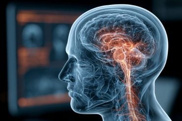 This shows the outline of a person and a brain.