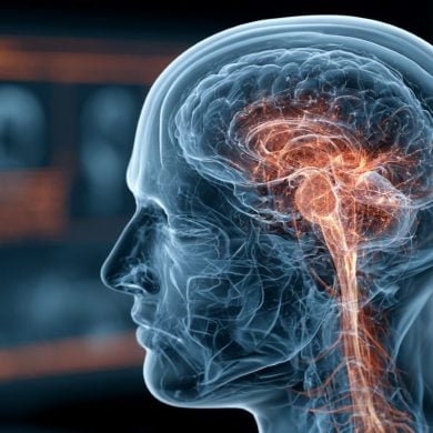 This shows the outline of a person and a brain.