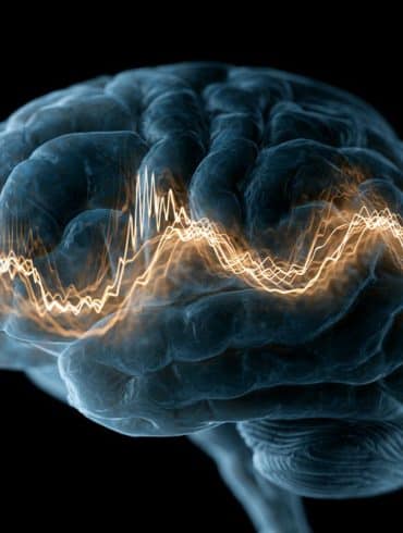 This shows a brain and brain waves.