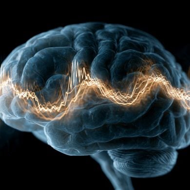 This shows a brain and brain waves.