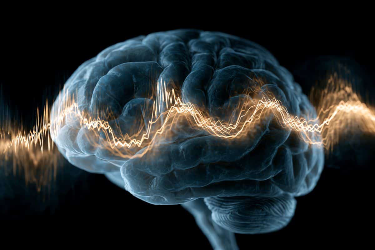BCI Neurofeedback Amplifies Brainwaves to Detect Micro