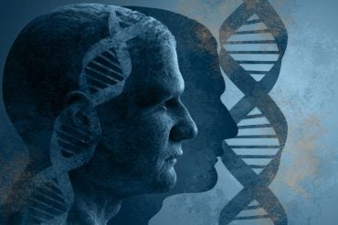 This shows DNA and a head.