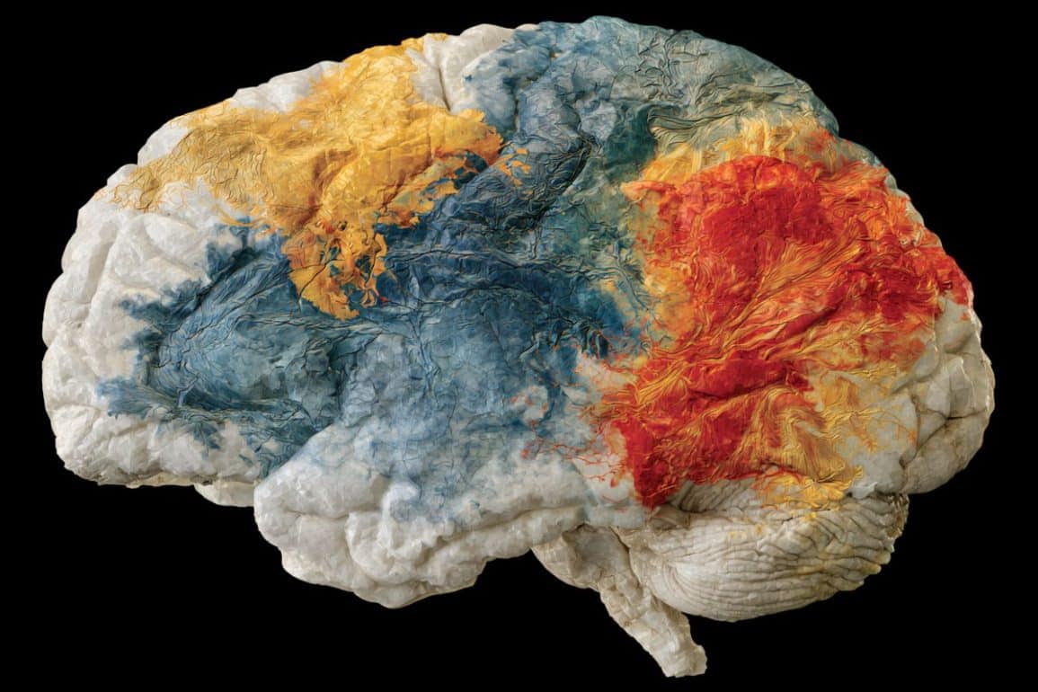Study Maps Accelerated Brain Aging Signatures Across 9 Conditions