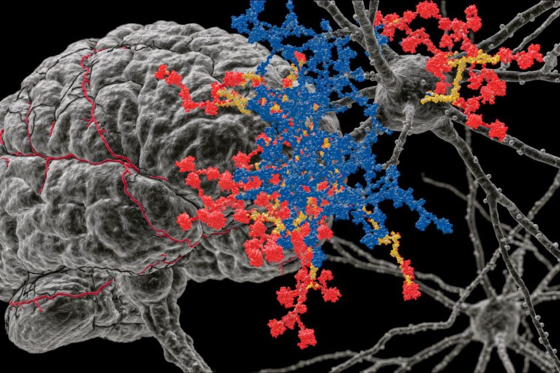 Brain Sugars Essential for Maintaining Nerve Signal Speed