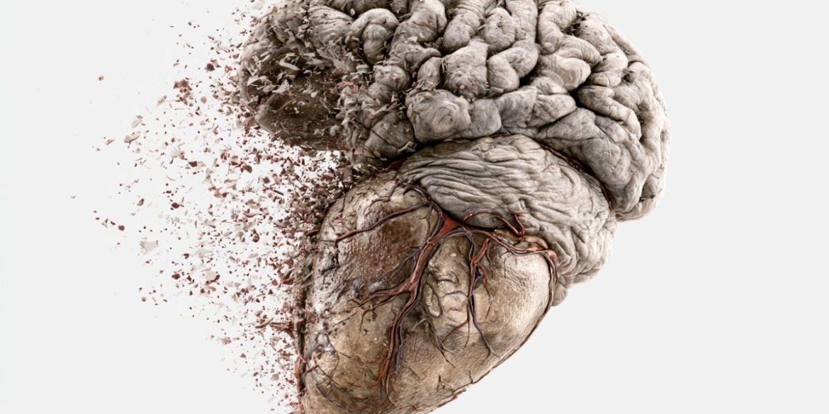 This shows a heart and brain.