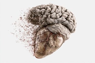 This shows a heart and brain.