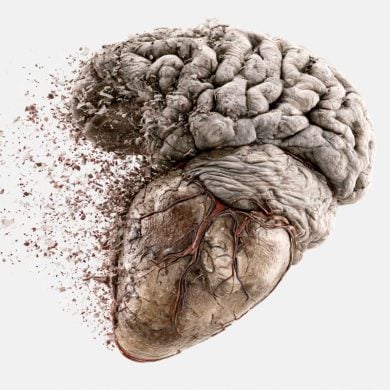 This shows a heart and brain.