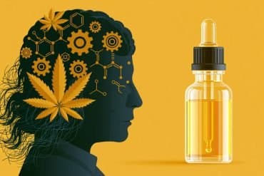 This shows a head, a leaf, and a bottle of oil.