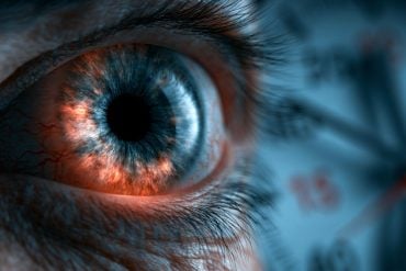 This shows an eye.