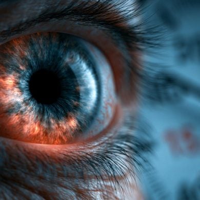 This shows an eye.