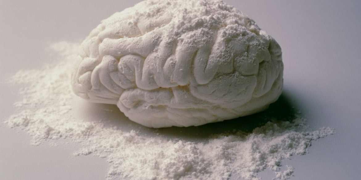 This shows a brain covered in powder.