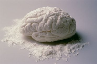 This shows a brain covered in powder.