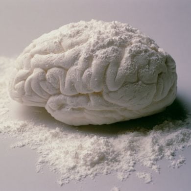 This shows a brain covered in powder.