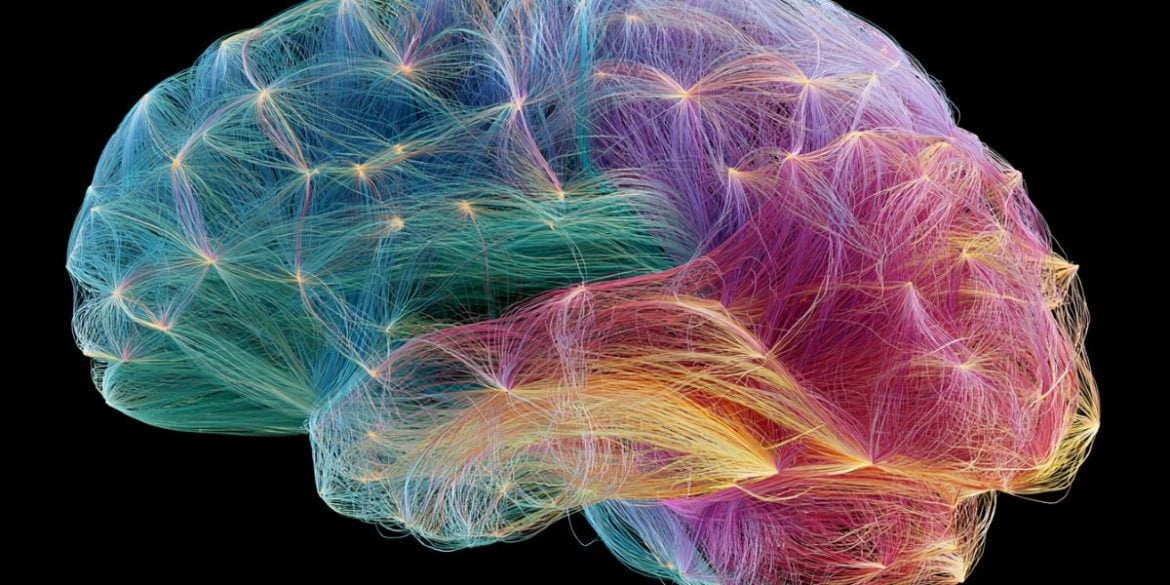 This shows a connectome of the brain.