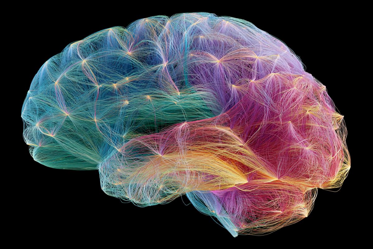 This shows a connectome of the brain.