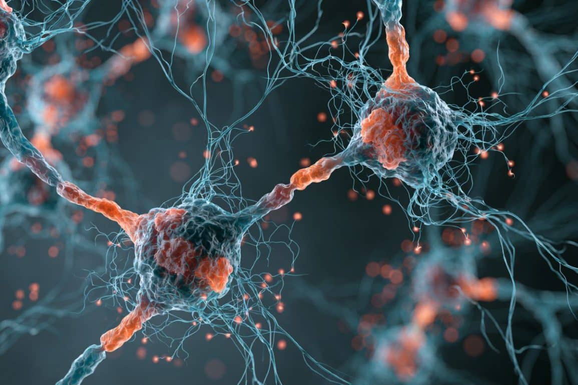 ECT Reprograms Adult Neurons into a Youthful State