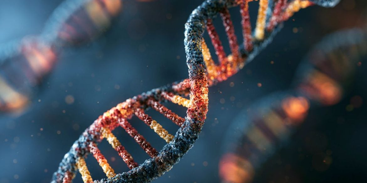 This shows DNA.
