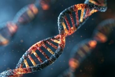 This shows DNA.