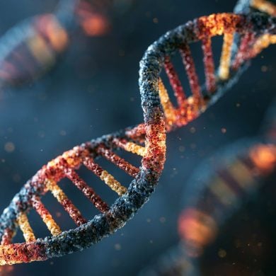This shows DNA.