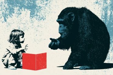 This shows an ape, a child, and a block.