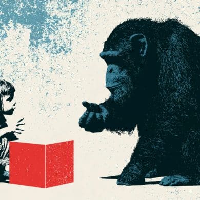 This shows an ape, a child, and a block.