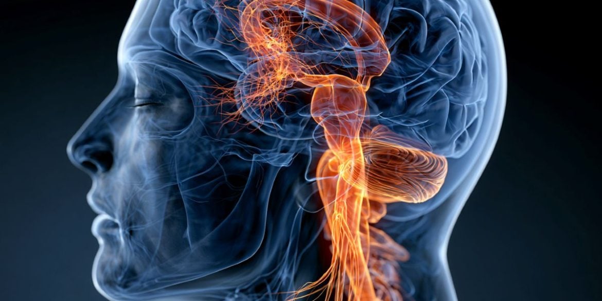 This shows a head and a brain.