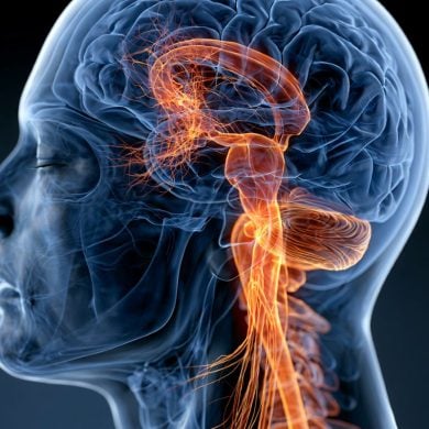 This shows a head and a brain.