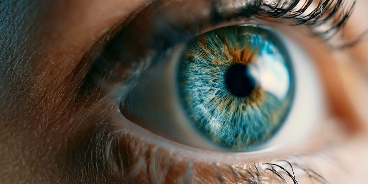 This shows an eye.