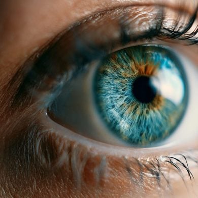 This shows an eye.