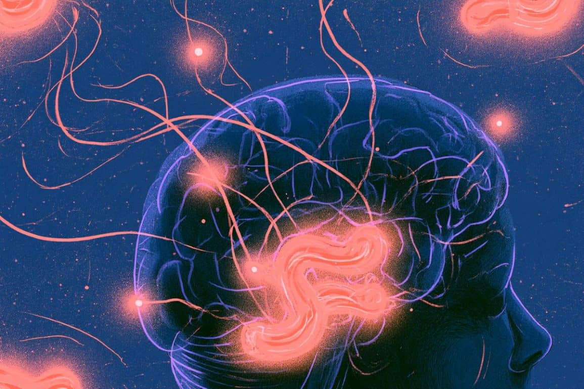 Vagus Nerve Gut Signals Drive Spatial Memory