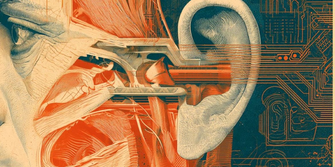 This shows an ear.
