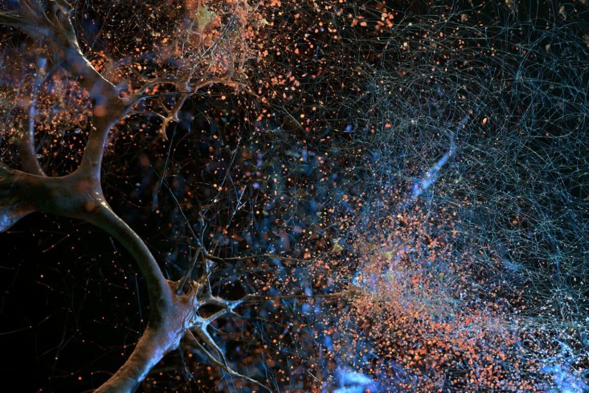 The Physical Mechanics of Memory Erasure