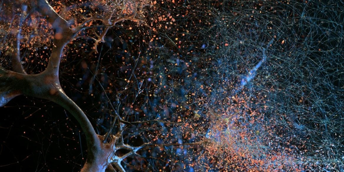 This shows a neural network.