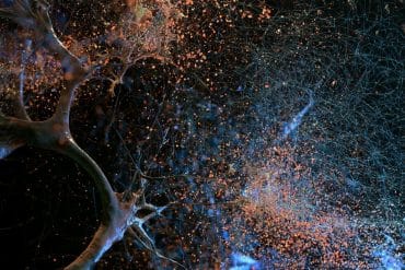 This shows a neural network.