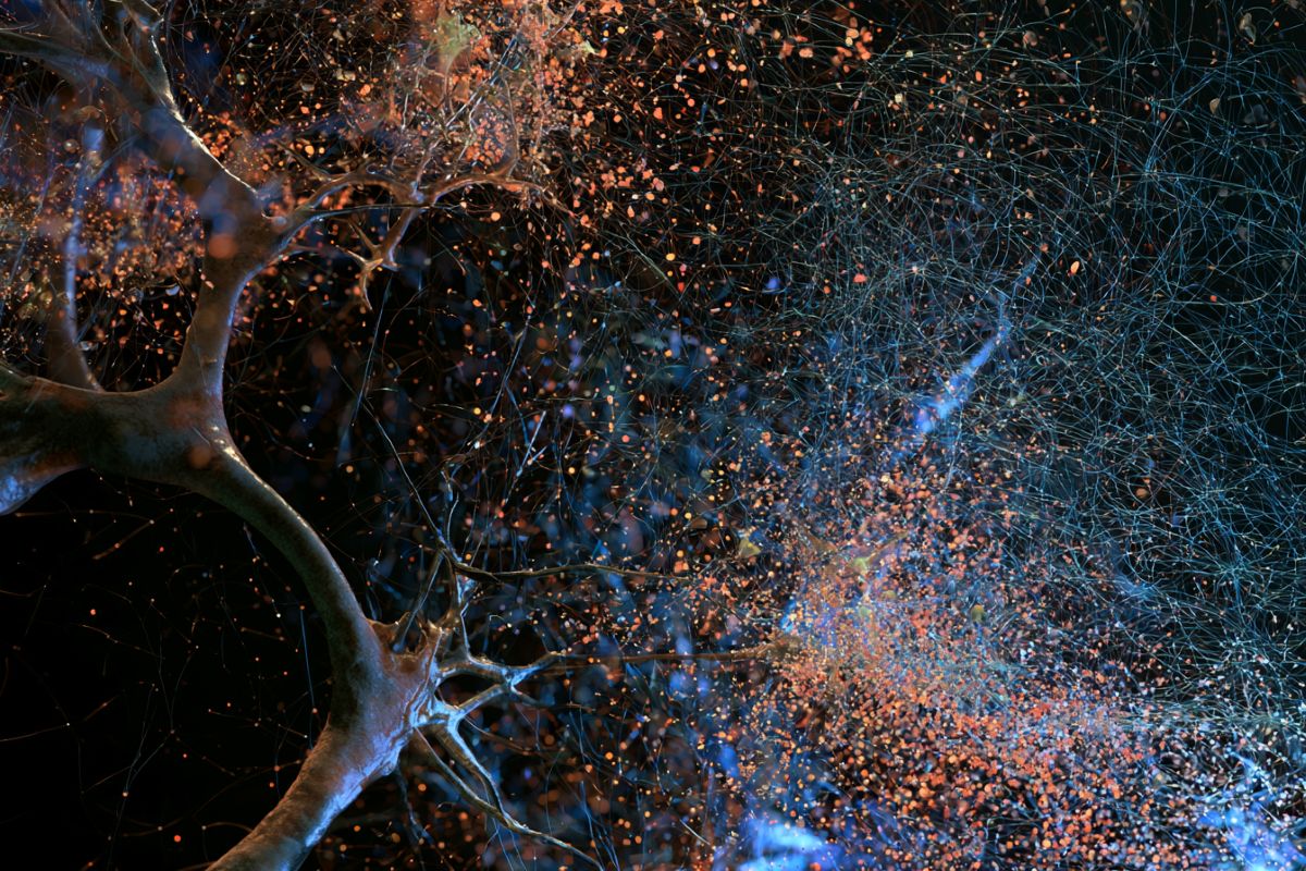 The Physical Mechanics of Memory Erasure
