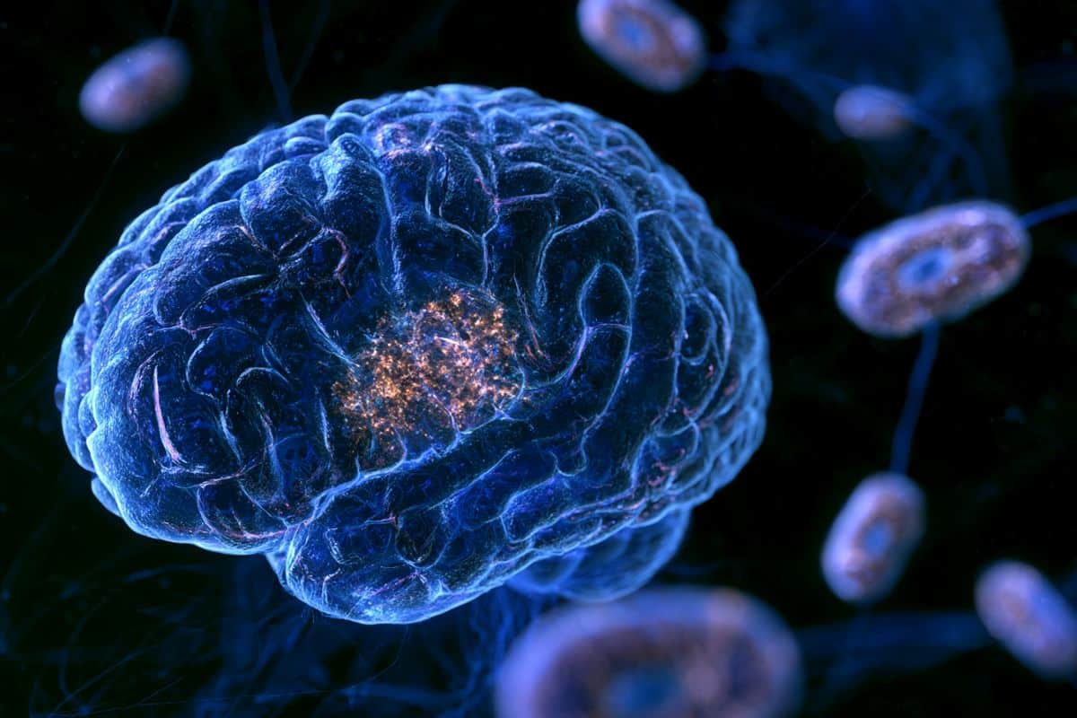 Mitochondrial Plaques in Alzheimer's Brains Discovered