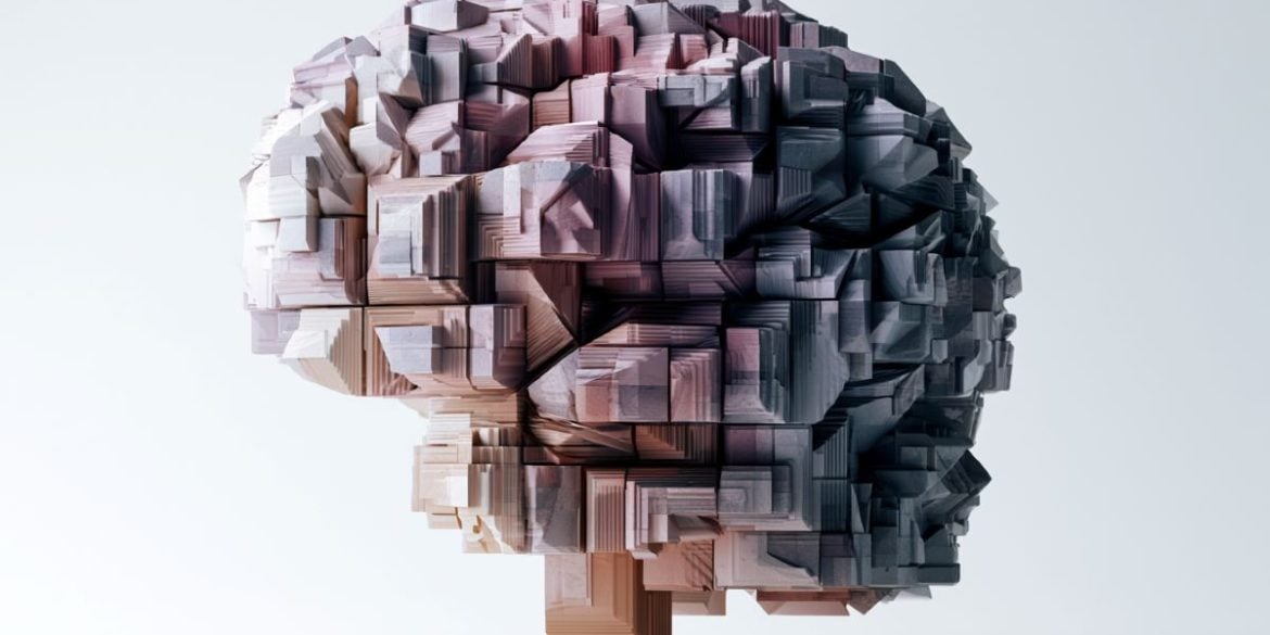 This shows a geometric brain.